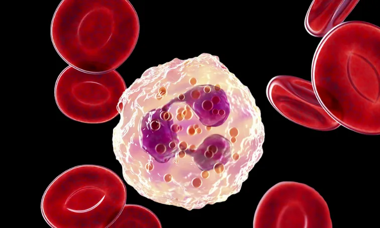 İnflamasyon görseli